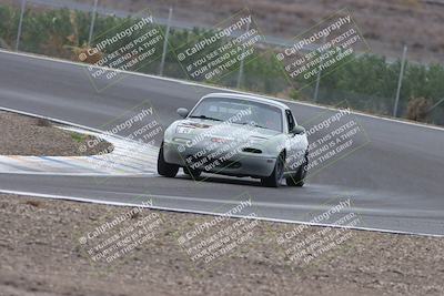 media/Nov-16-2025-CalClub SCCA (Sun) [[2975c16dfc]]/Group 4/Turn 9  and  7/